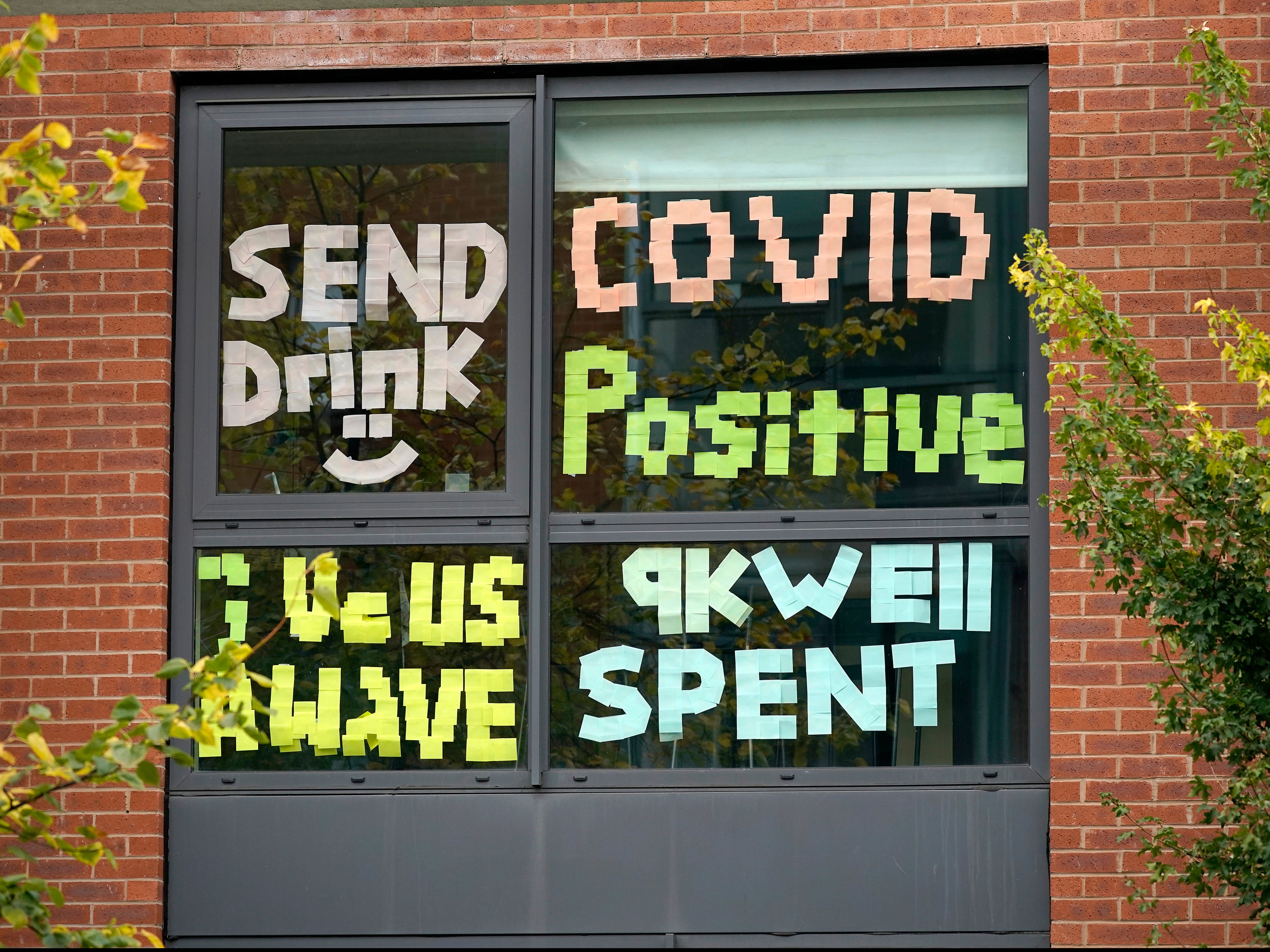 Signs made by students in Manchester