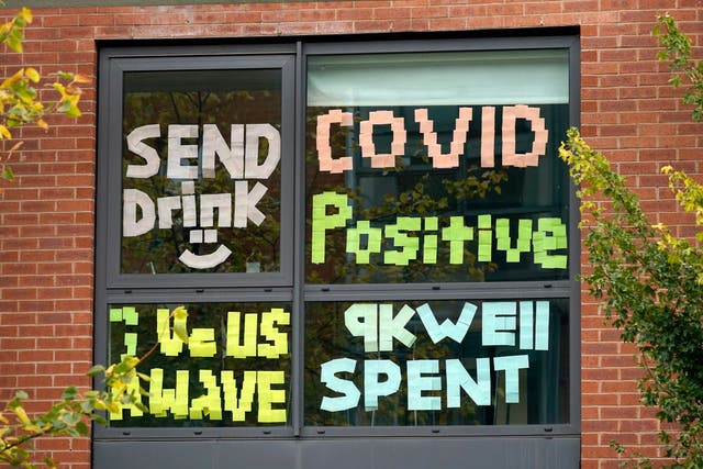 <p>Signs made by students in Manchester</p>