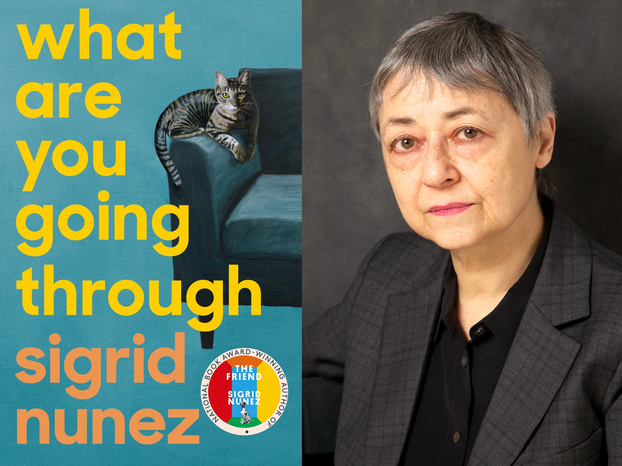 Sigrid Nunez’蝉 ‘What Are You Going Through’ is a story of a terminally ill woman who has opted to euthanise herself, and the friend who supports her through it