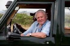 David Attenborough: A Life on Our Planet review – A powerful, angry film from a man who has witnessed the destruction of Earth’s habitats