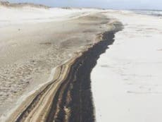 Five-mile stretch of oil slime washes up on Florida beach after Hurricane Sally
