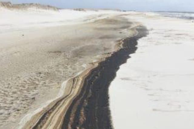 Oil washed up on Johnson beach in Perdido Key, Florida this weekend