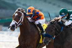 House approves bill to combat doping in horse racing