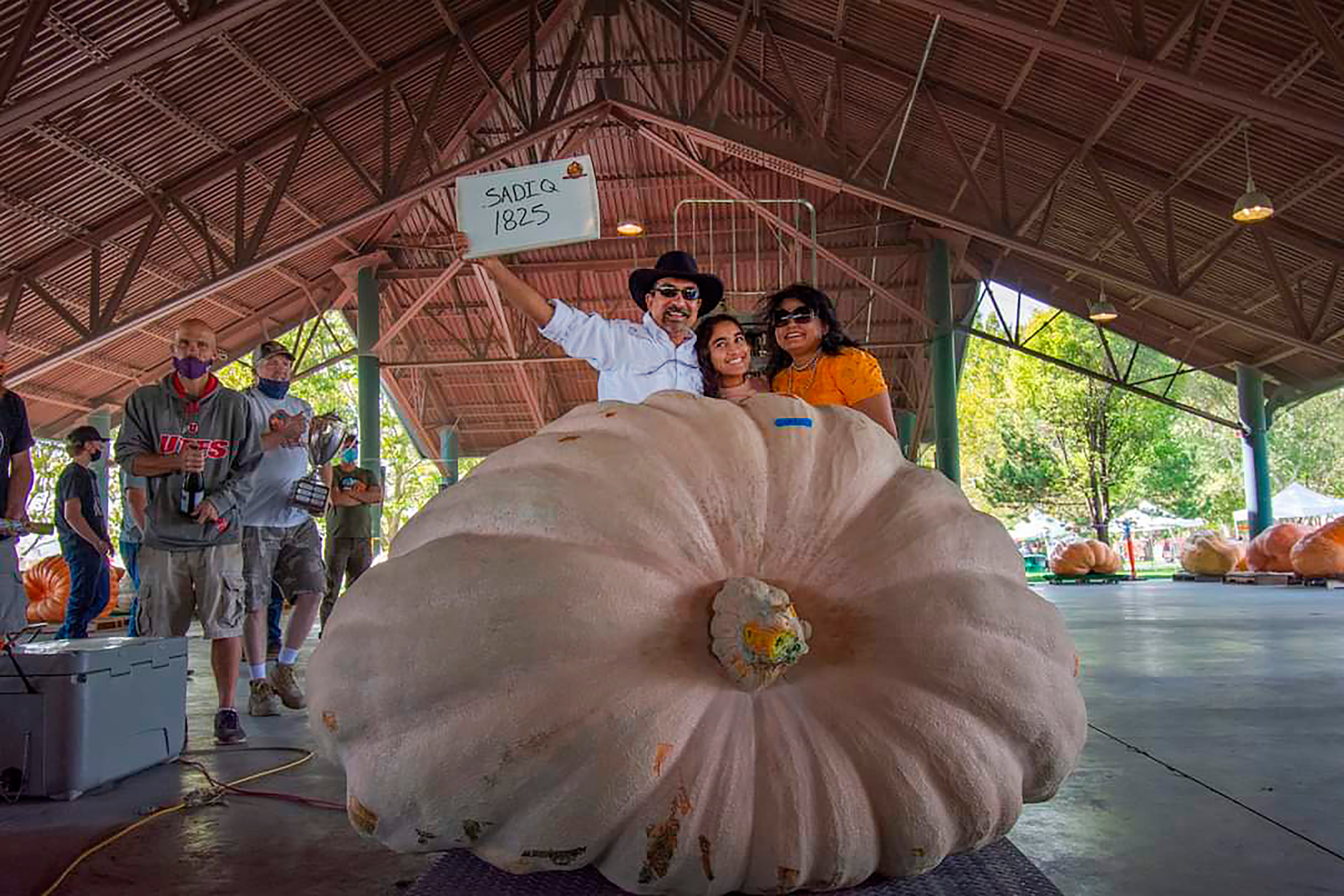 Giant Gourd