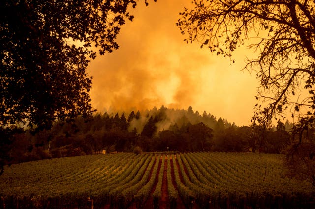 California Wildfires Photo Gallery