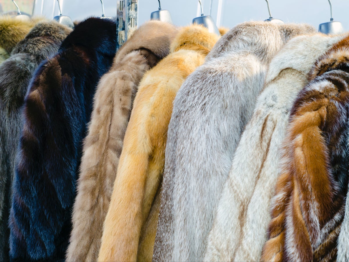 Chanel to stop using exotic animal skins and fur