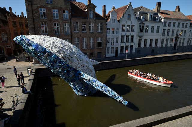 A 12-metre installation depicting a whale, made up of five tons of plastic waste pulled from the Pacific Ocean, in Bruges, Belgium