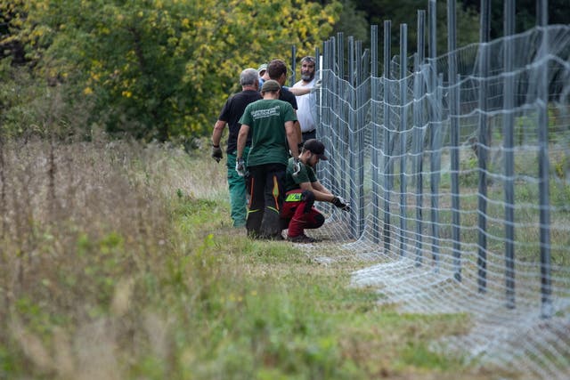 A metal fence under construction on the border between Germany and Poland on 24 September, 2020.
