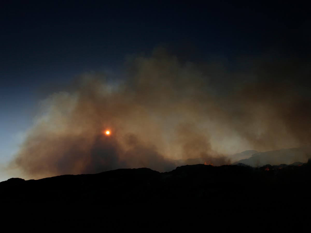 Ban peat-burning on grouse moors to stop CO2 emissions and save habitats, say experts