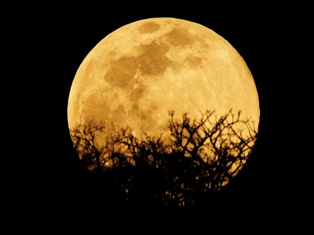 The Harvest Moon on 1 October will be one of two full moons in October 2020