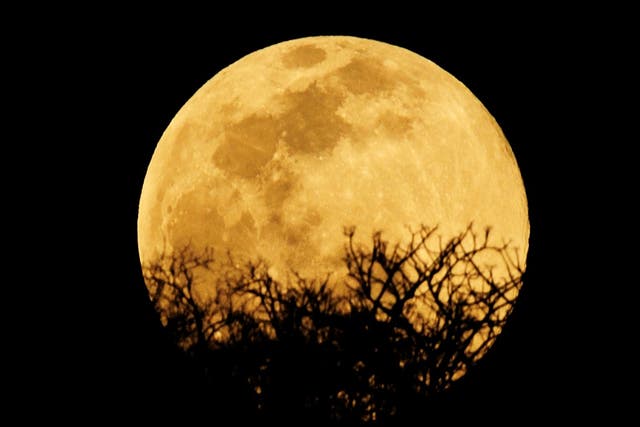 The Harvest Moon on 1 October will be one of two full moons in October 2020