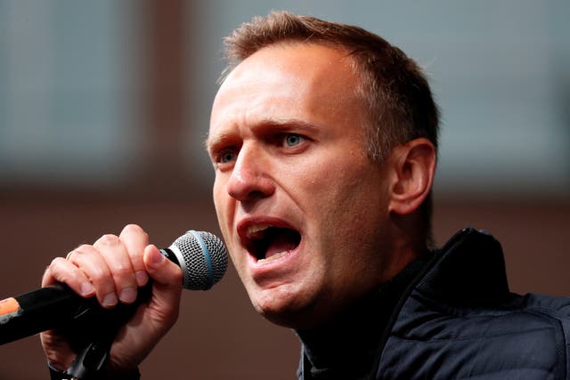 <p>Alexei Navalny at a rally in 2019 </p>