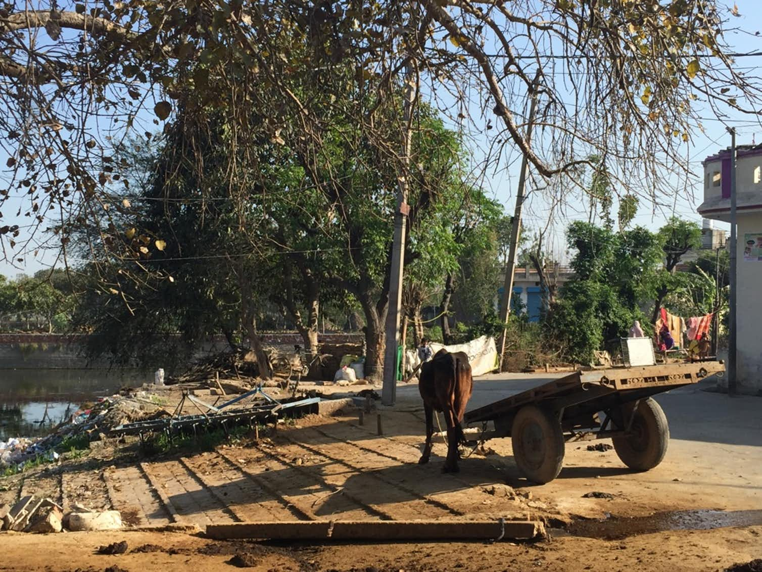 A village near Thanesar in Kurukshetra, Haryana, where Sahar lives