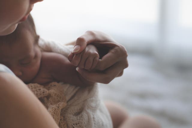 Researchers found that a sample of seven newborns fed a small amount of their mother’s faeces had a microbial makeup that looked more similar to babies born vaginally than those born by C-section