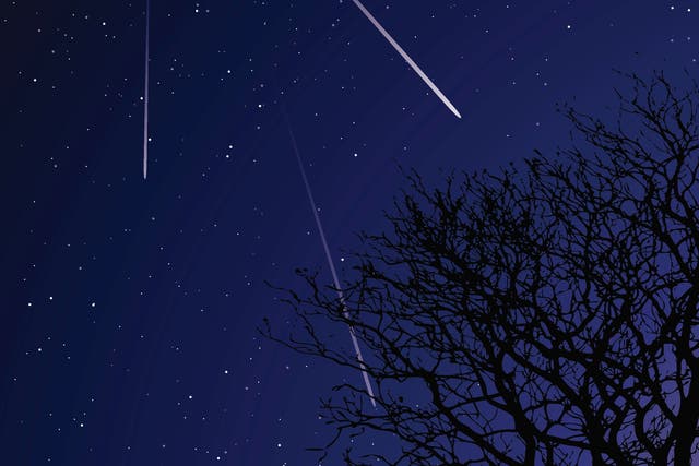 <p>The Orionid meteor shower could peak over several days in October</p>