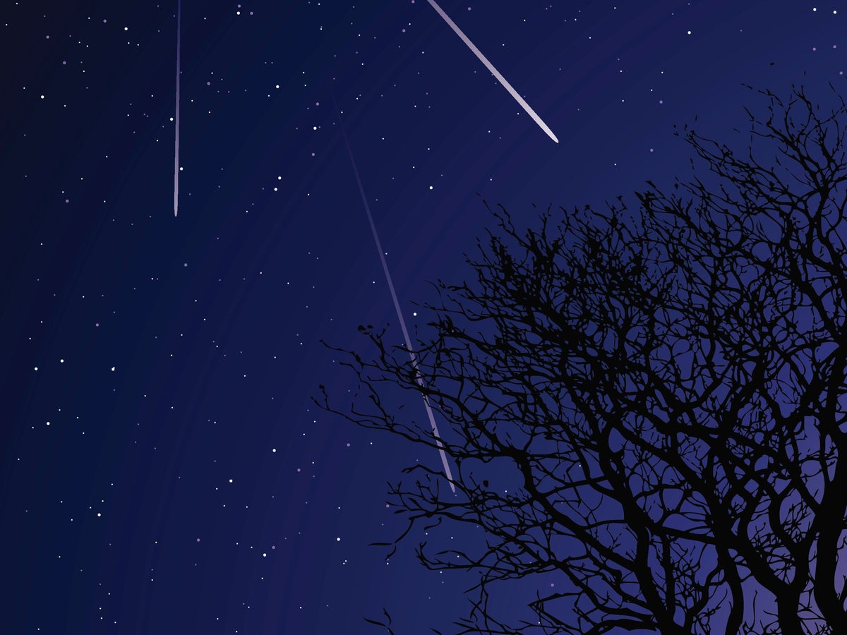 Orionid meteor shower this week won’t be as intense as what’s to come in 2023, Nasa expert says