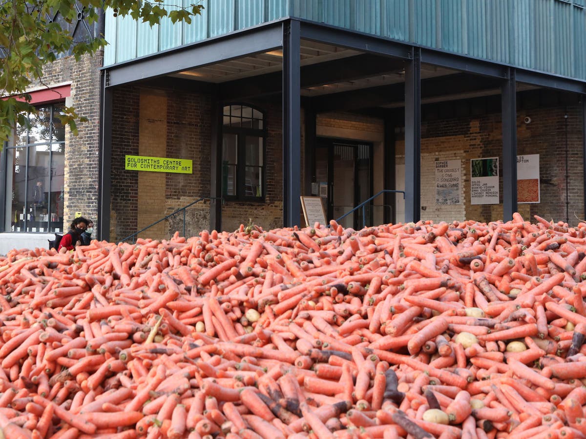 Goldsmiths Carrots Exhibition Surreal Art Installation Criticised For Wasting Food After Dumping Vegetables Outside London University The Independent