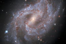 Nasa sees exploding supernova five billion times brighter than the sun