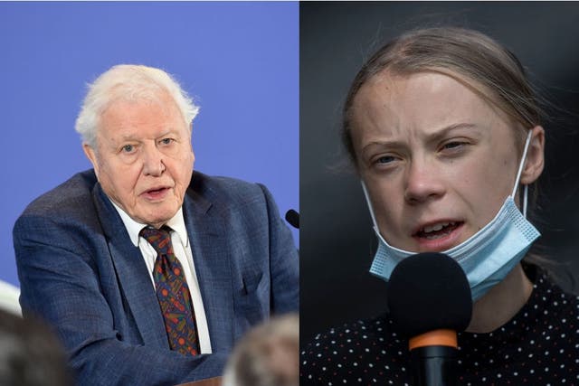 Greta Thunberg and David Attenborough are both fighting climate change