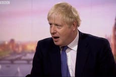 Coronavirus: Boris Johnson says crisis will remain 'bumpy until Christmas and possibly beyond'