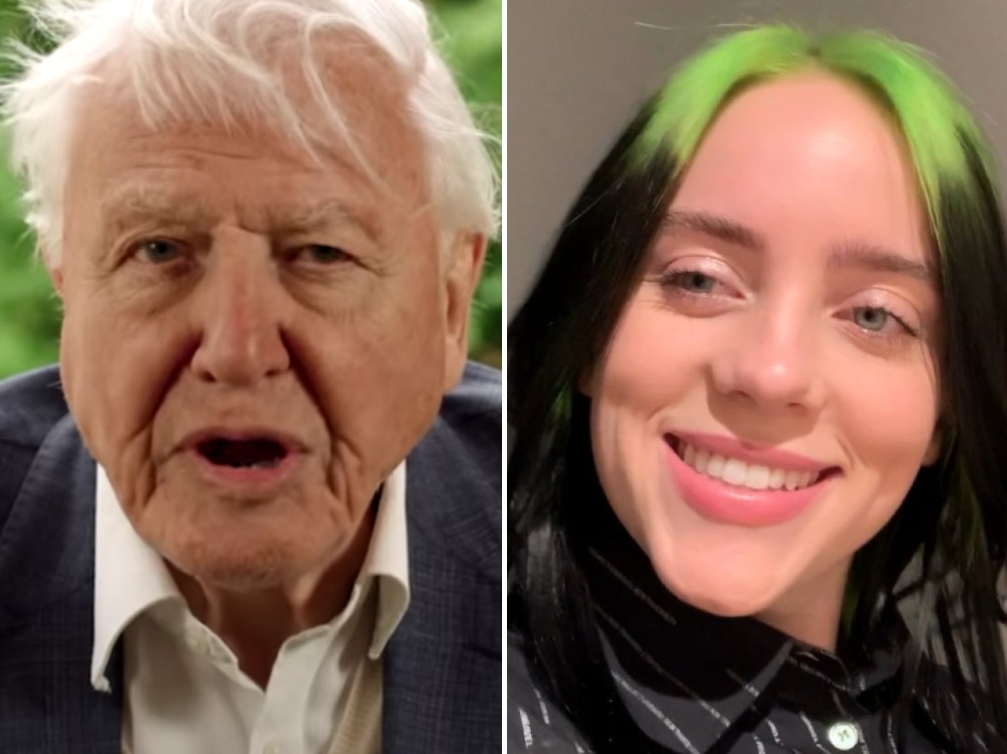 A Life On Our Planet Sir David Attenborough Tells Billie Eilish How He Copes With Personal Feelings About Extinction The Independent