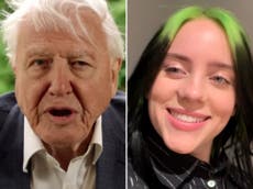 Billie Eilish asks David Attenborough about extinction in moving Q&A