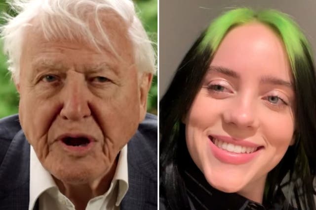 Sir David Attenborough was asked a number of questions by famous fans