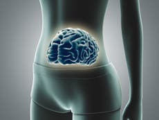 Faecal transplants ‘could reverse cognitive decline’, study suggests