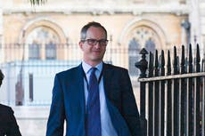 Coronavirus: UK will be 'extremely proud' of its response, like the Olympics, claims Lord Bethell