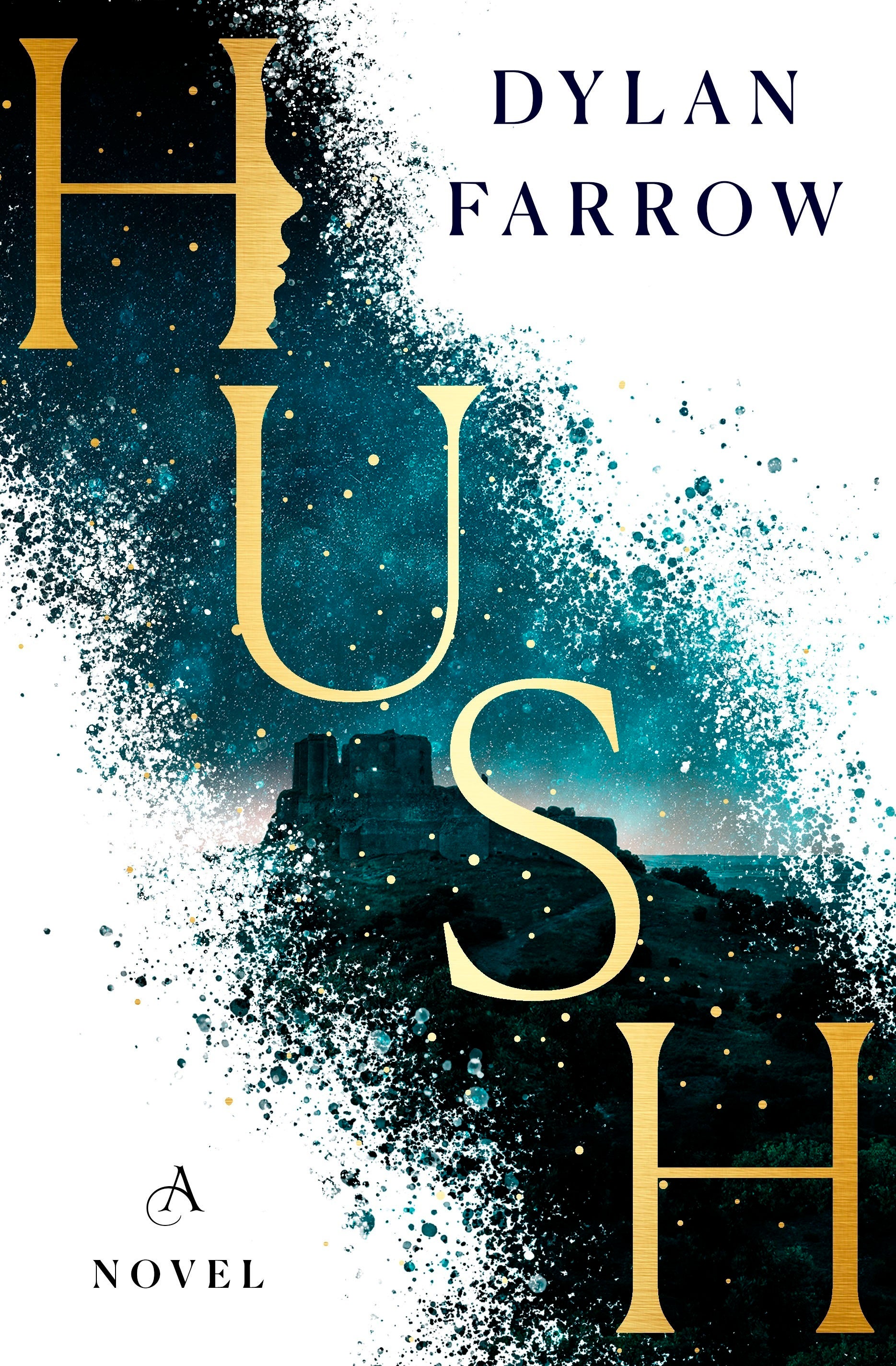 Book Review - Hush