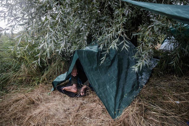 A migrant inside a makeshift camp on the outskirts of Calais