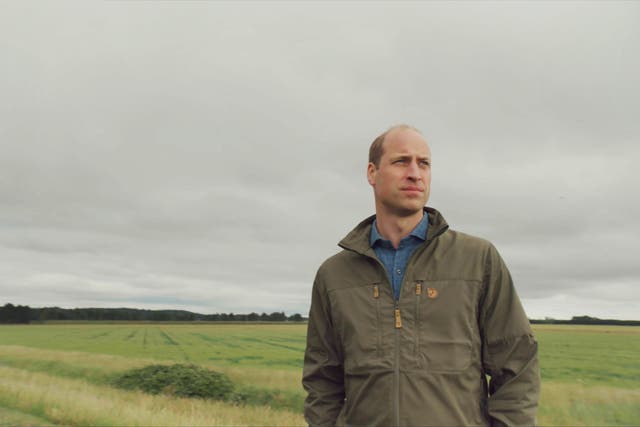 Prince William, in his gentle, charming, unassuming way, is becoming quite an adept TV presenter