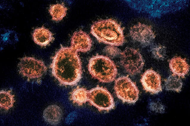 Virus Outbreak CDC Aerosol