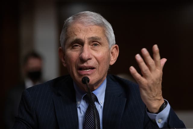 File: Dr Anthony Fauci speaks at a Senate committee hearing on Covid-19 on 23 September