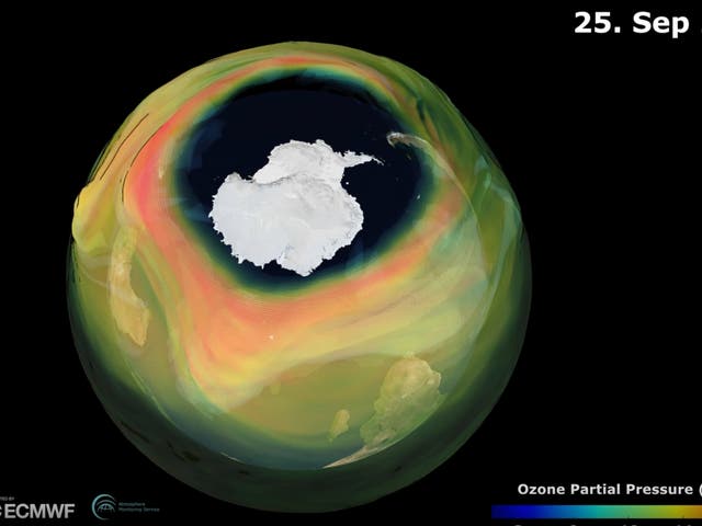 Copernicus Atmosphere Monitoring Service graphic of the ozone hole over Antarctica on 25 September 2020