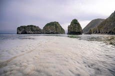 Could leaked rocket fuel be killing sea life in Russia?