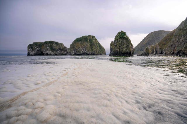 Yellowish foam has been washing up on the coast of Kamchatka following a suspected chemical spill