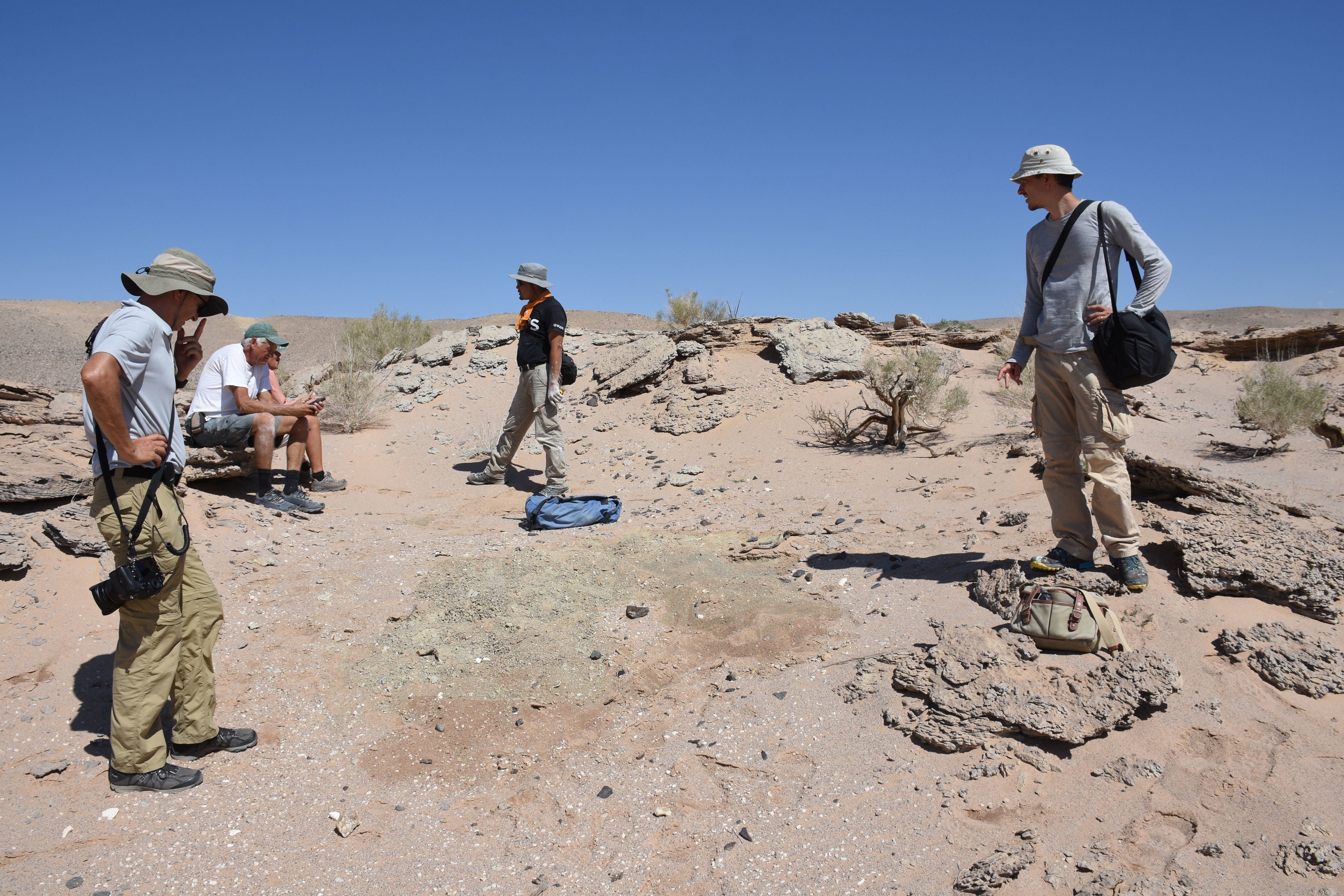 Members of the University of Edinburgh-led team in the Gobi Desert in Mongolia