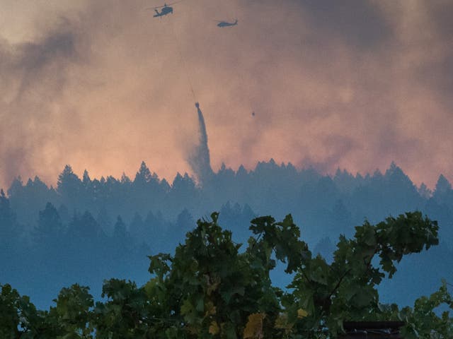 A vineyard is seen the foreground as helicopters drop water over the Bothe-Napa Valley State Park which was alight from the Glass Fire in Calistoga, California on October 3