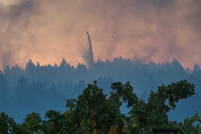 A vineyard is seen the foreground as helicopters drop water over the Bothe-Napa Valley State Park which was alight from the Glass Fire in Calistoga, California on October 3