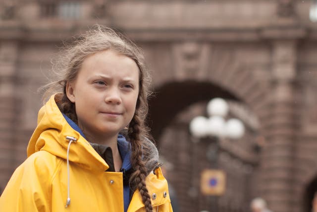 Nathan Grossman: ‘Greta Thunberg continues to bang her head against this cement wall of politicians’