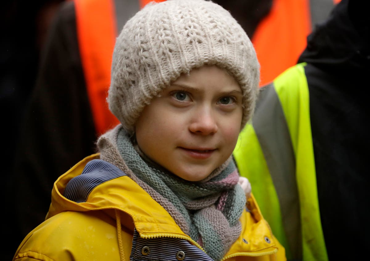 Russia faces greater threat from Greta Thunberg than  sanctions, economist suggests