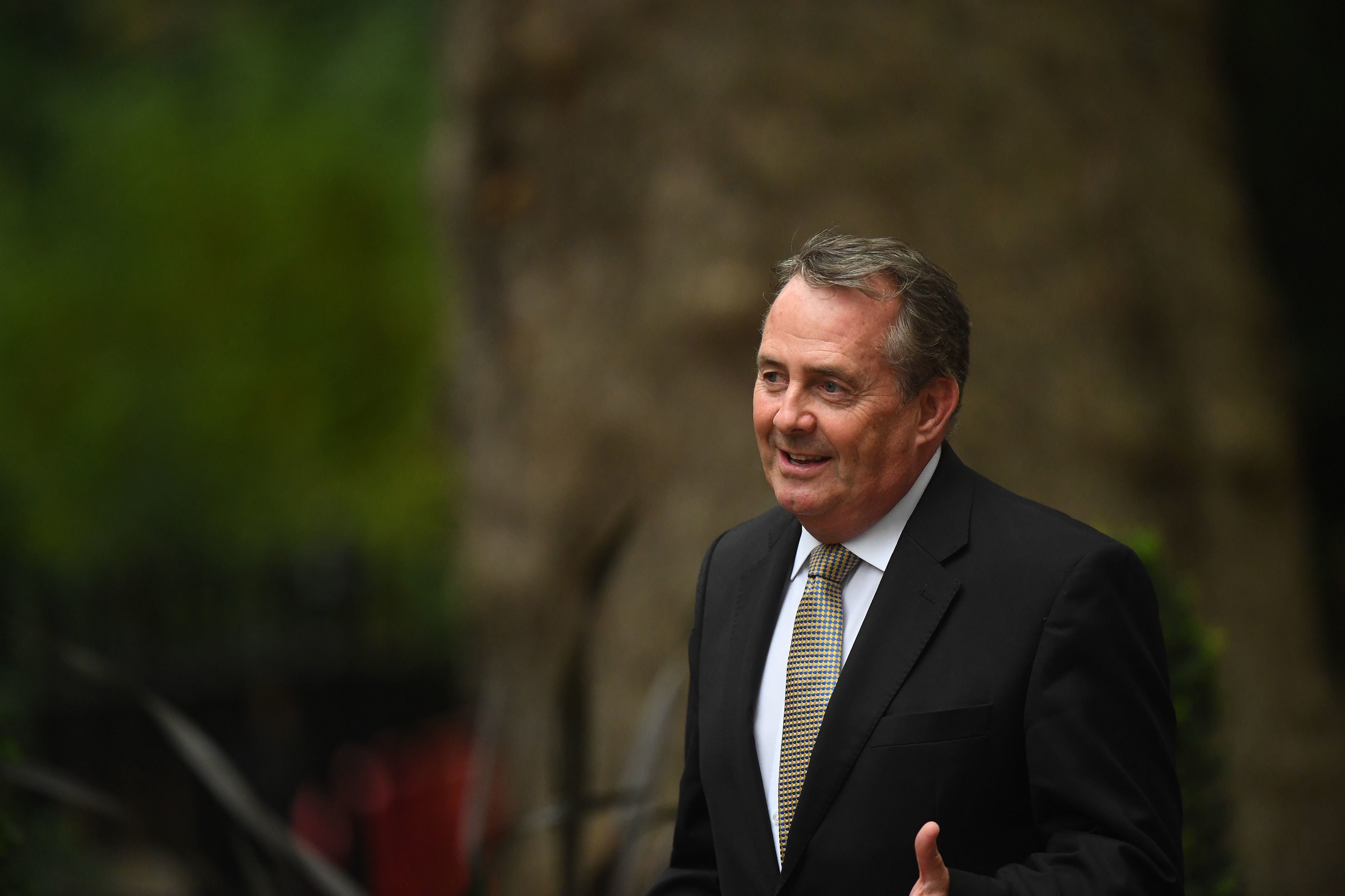 Former trade secretary Liam Fox