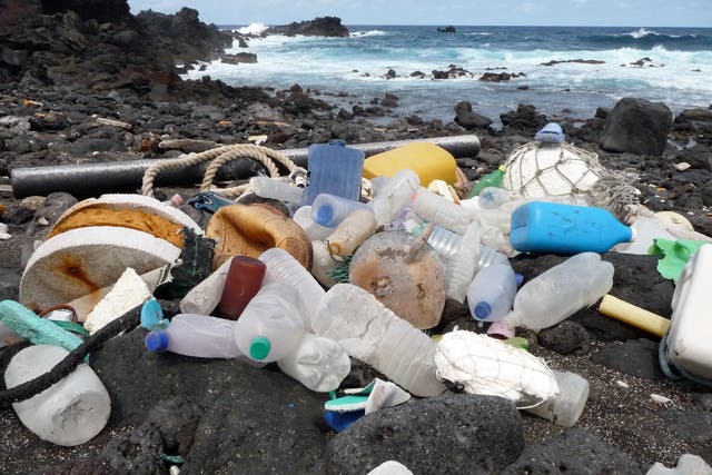 Canada has announced it will ban single-use plastic items by the end of 2020