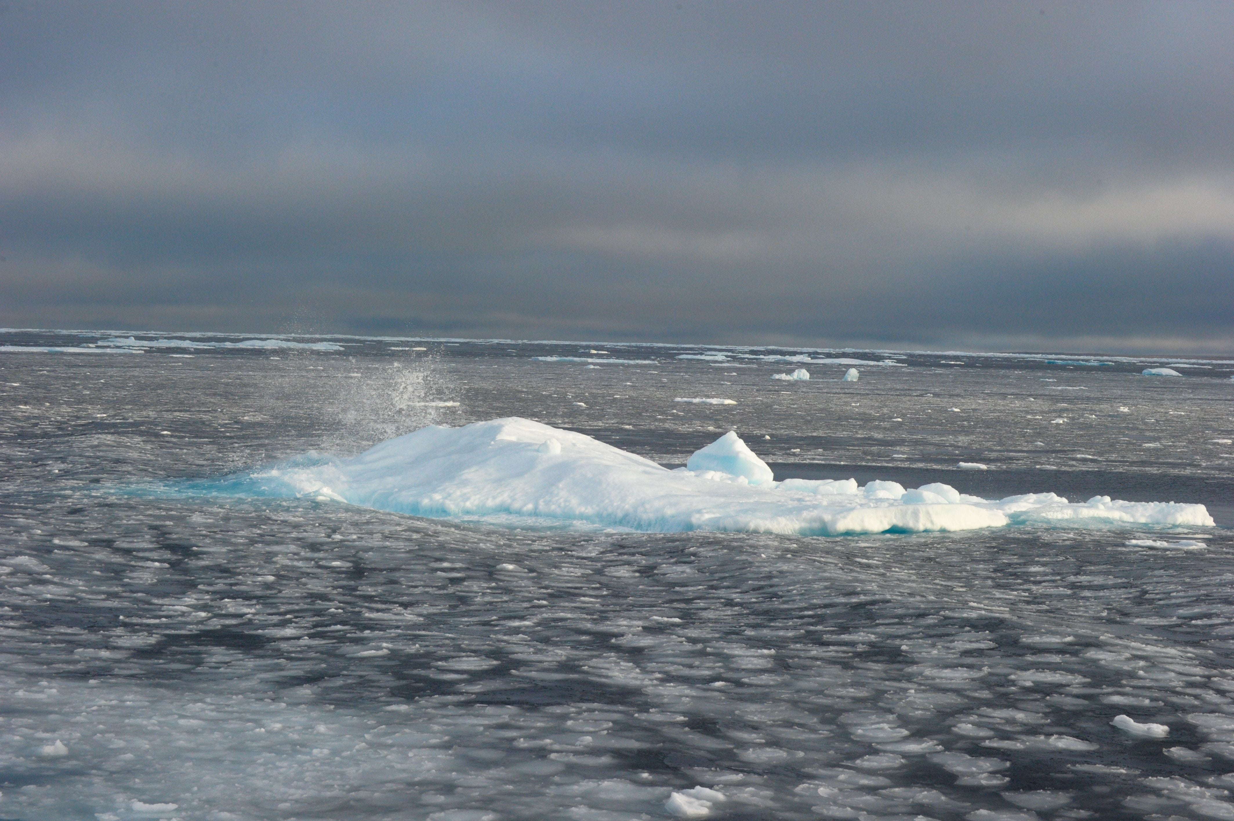 The Arctic is melting rapidly, scientists warn