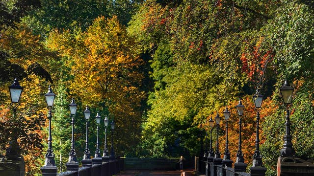 A jogger runs over the Armstrong Bridge in Jesmond, Newcastle surrounded by Autumn colours