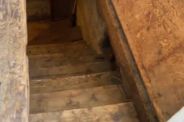 Footage of the basement that Adam Fox lived in. Mr Fox has been accused of plotting to kidnap Michigan governor Gretchen Whitmer