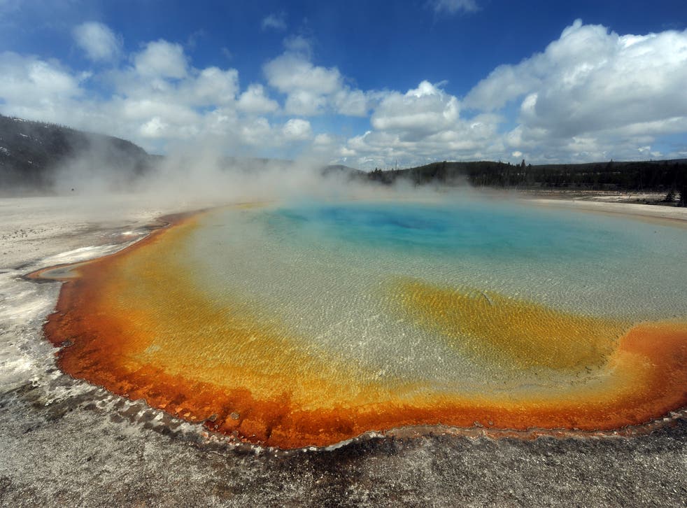 Un niño de tres años fue llevado al hospital con quemaduras graves después de chocar con un géiser de Yellowstone