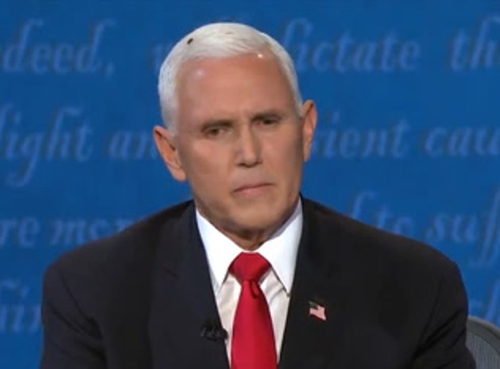 Mike Pence at the vice presidential debate