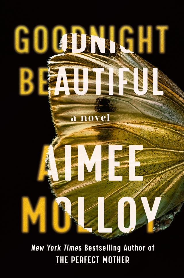 Book Review - Goodnight Beautiful